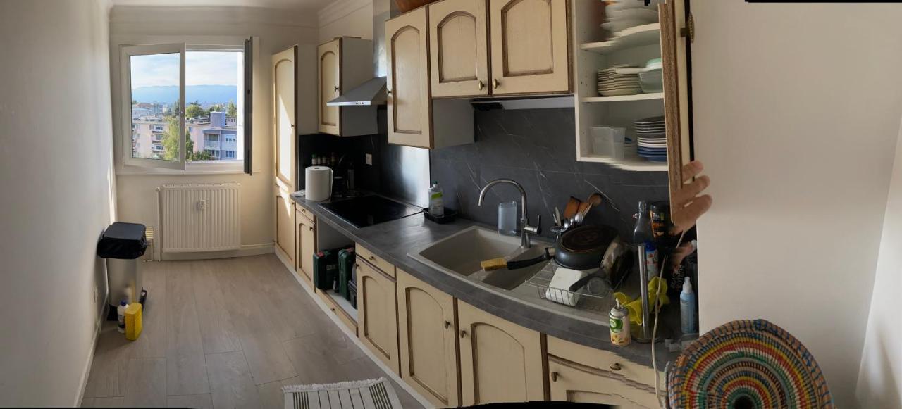 Appartement Avec Belle Vue Et Place De Parking Аннмасс Екстер'єр фото